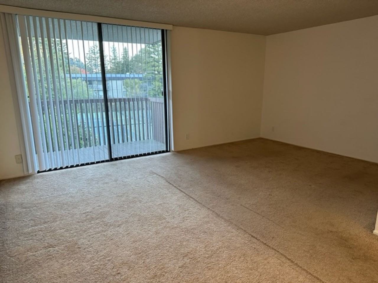 3309 Shelter Creek Ln - Photo 2 of 19