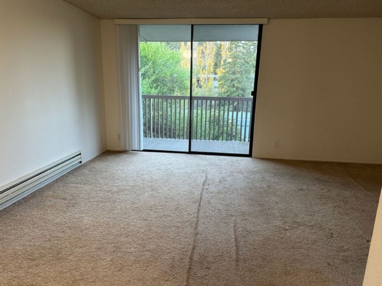 3309 Shelter Creek Ln - Photo 3 of 19