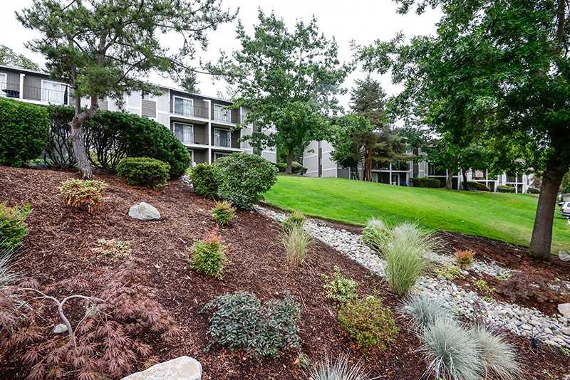 The Row - Photo 2 of 20