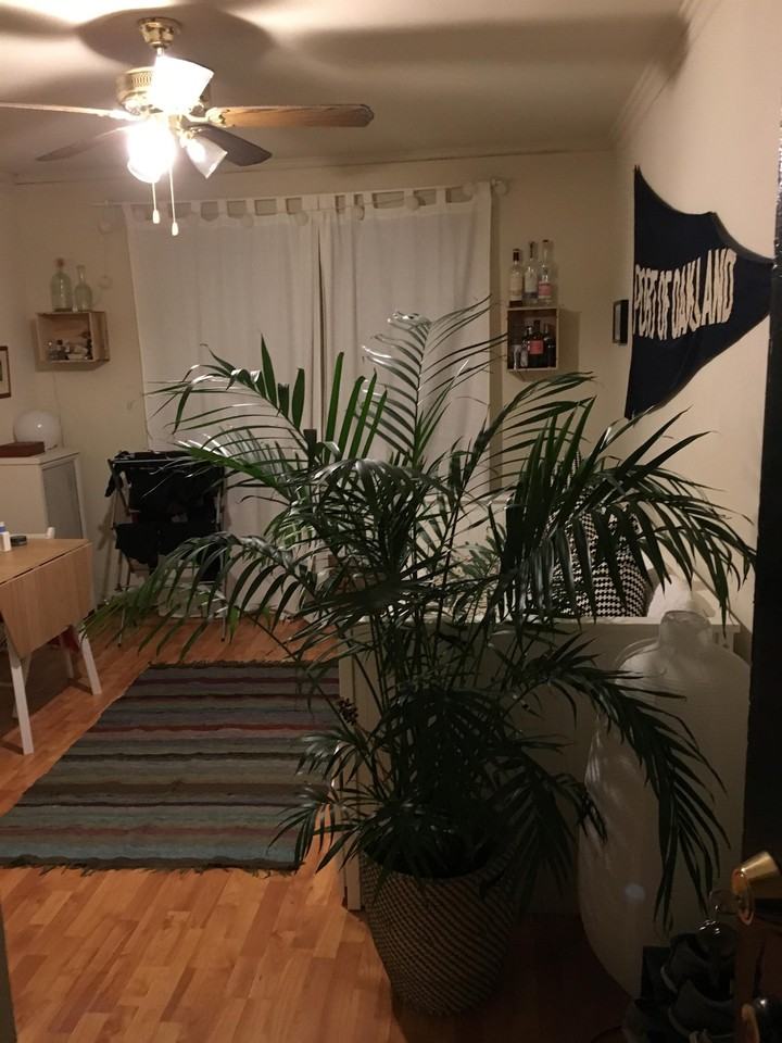 633 W Deming - 303 #303 - Photo 3 of 7