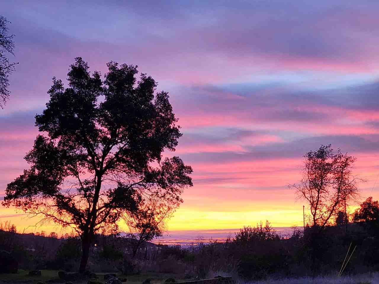 5900 Canyon View Dr - Photo 5 of 16