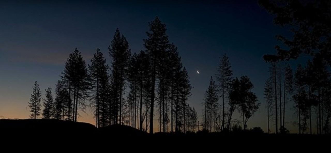 5900 Canyon View Dr - Photo 6 of 16