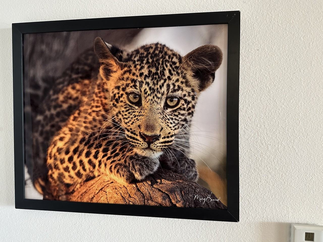 7882 Sailboat Key Blvd S #505 - Photo 5 of 14