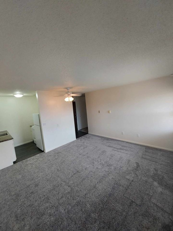 530 Korb St #101 - Photo 3 of 8