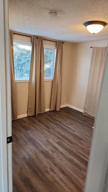 Chena Ave #1 - Photo 6 of 12