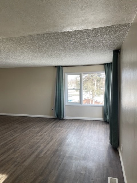 Chena Ave #1 - Photo 7 of 12