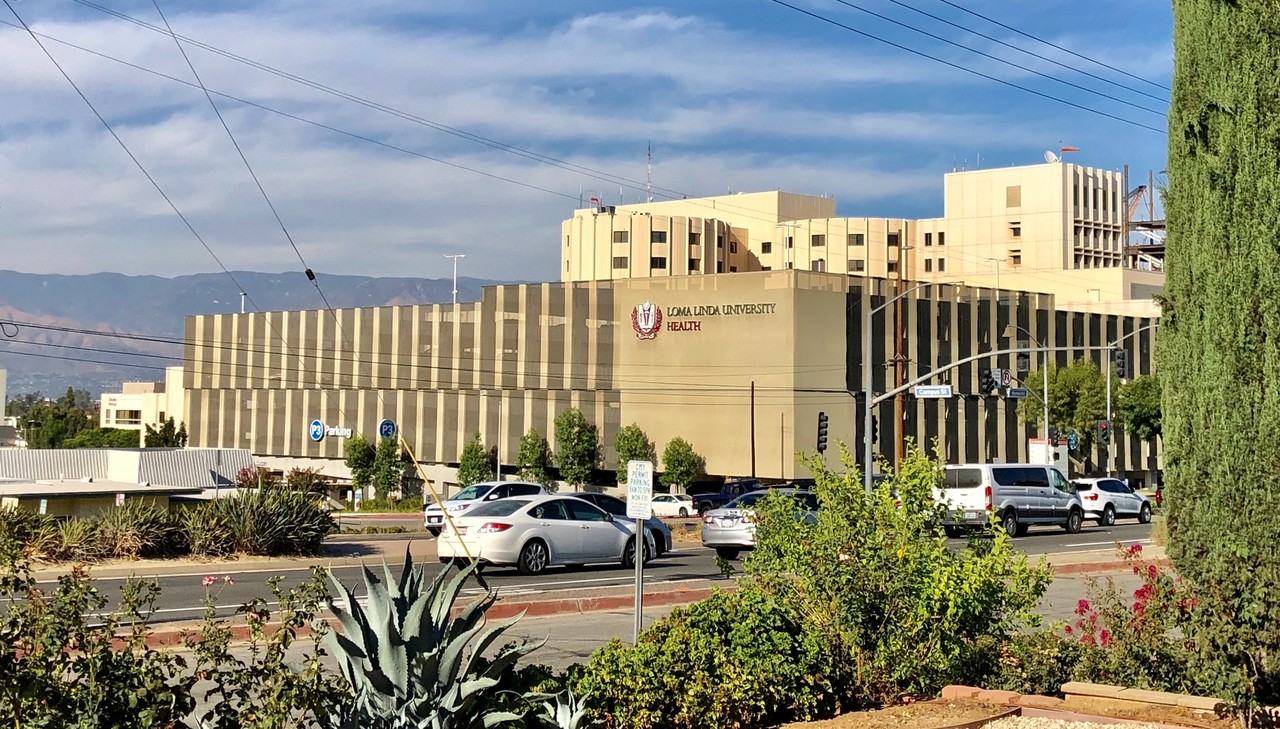 24663 Barton Rd - Photo 5 of 29