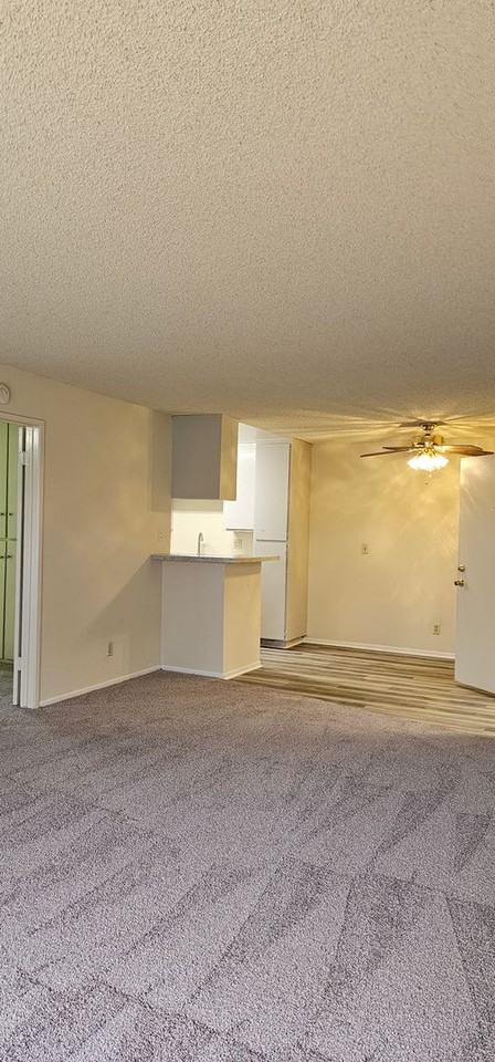 CASA COLIMA APARTMENTS - Photo 6 of 50