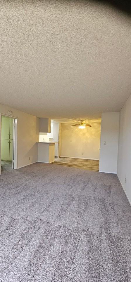 CASA COLIMA APARTMENTS - Photo 7 of 50