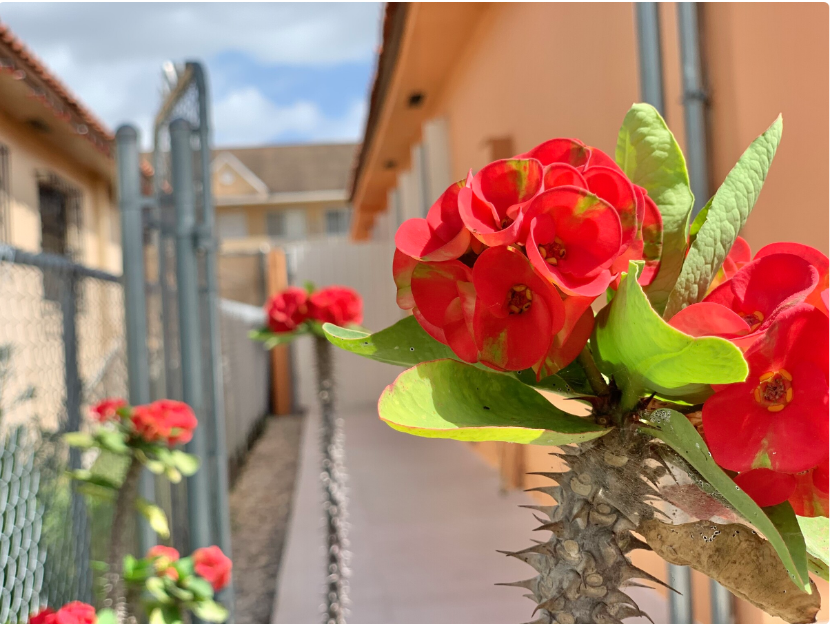 6411 W 22nd Ct #NA - Photo 6 of 22