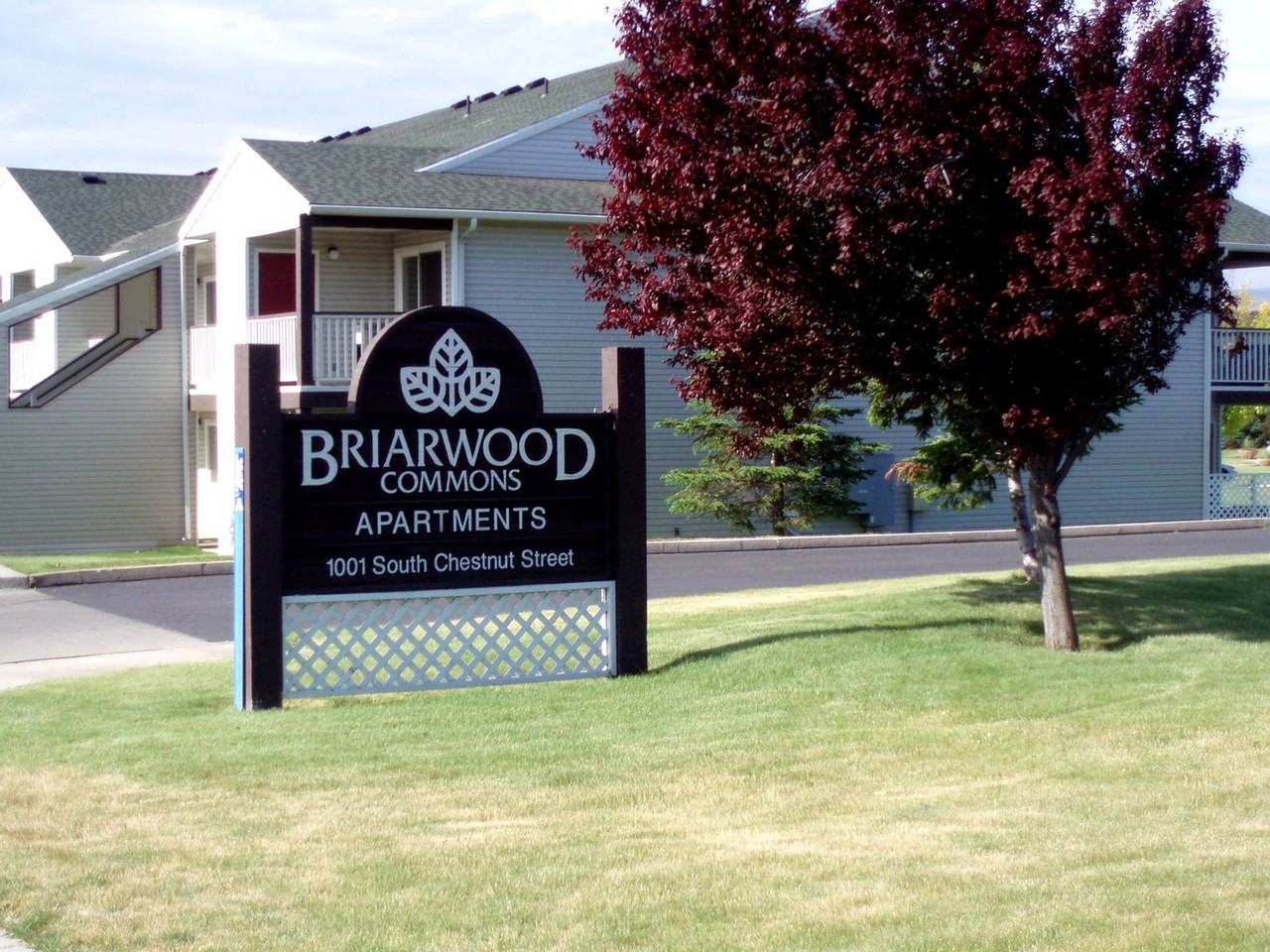 Briarwood Commons - Photo 5 of 50