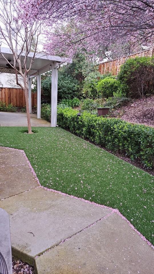 2023 Petruchio Way #NA - Photo 2 of 21