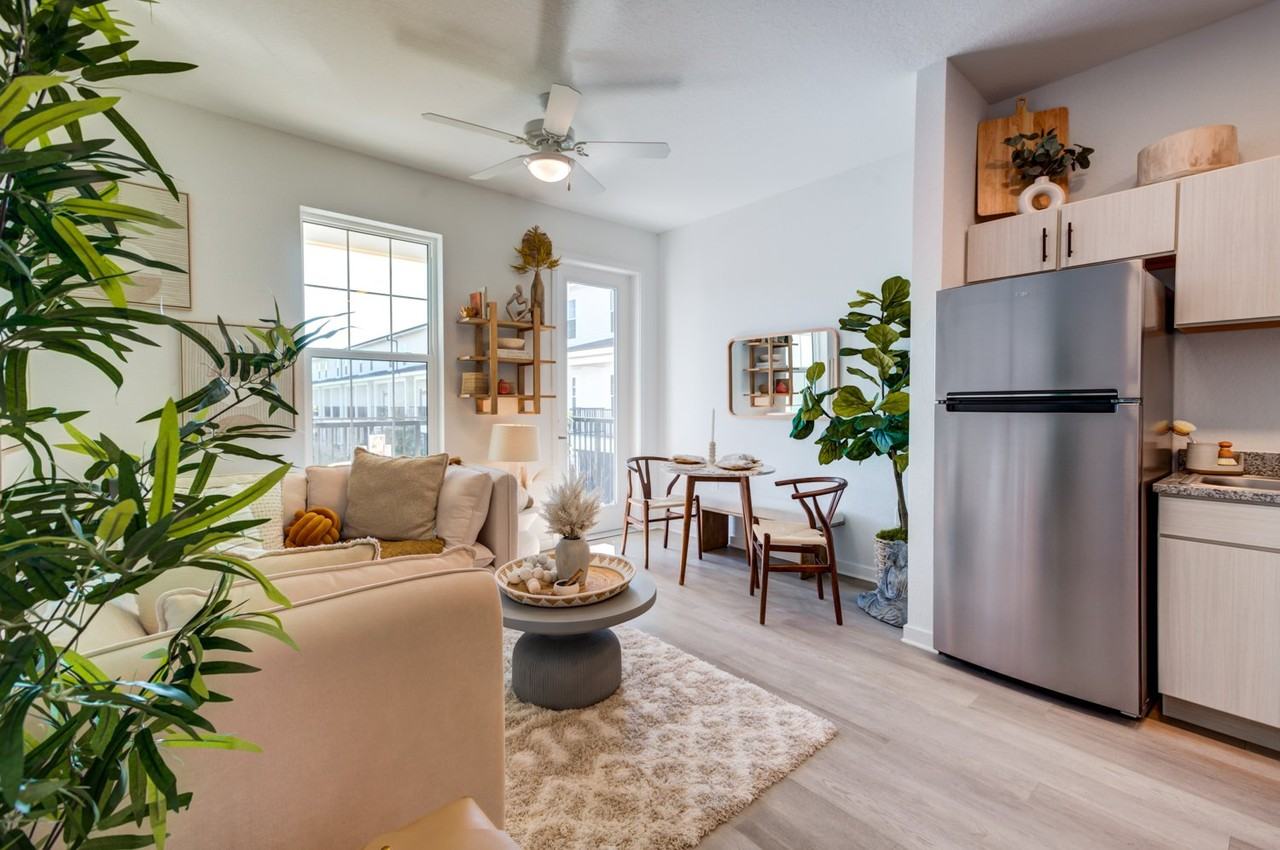 Welcome Canary - Photo 3 of 16