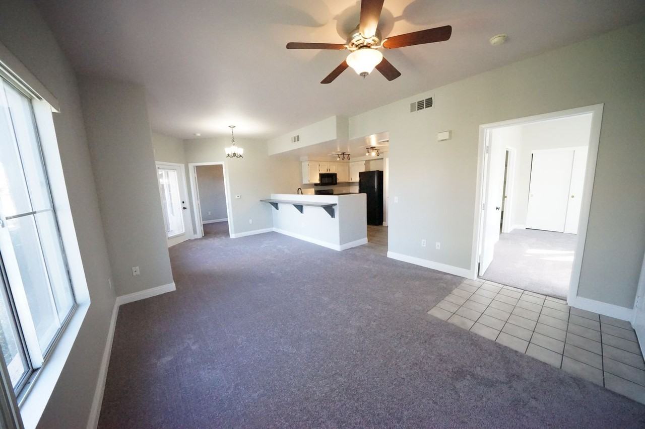 10245 S Maryland Pkwy #169 - Photo 3 of 18