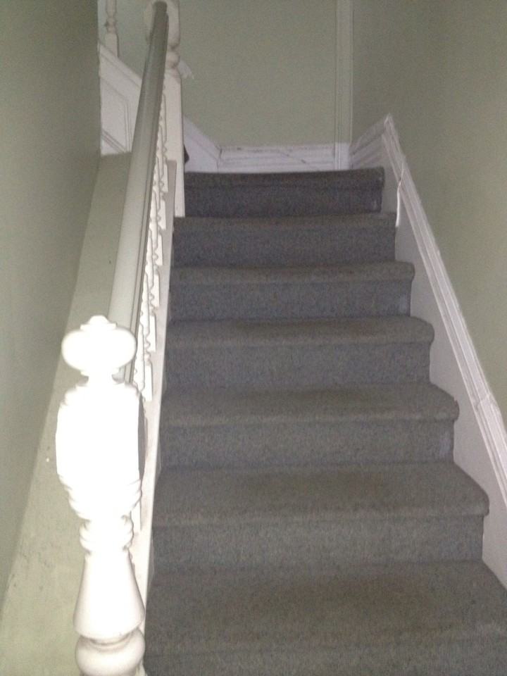 Glebe- 185 Strathcona - 4 BDRM - Photo 4 of 9