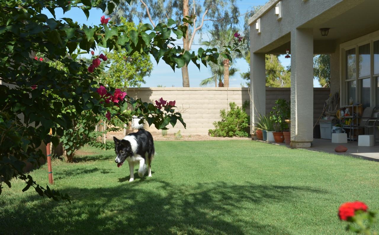 2111 E Chanute Pass #NA - Photo 2 of 11