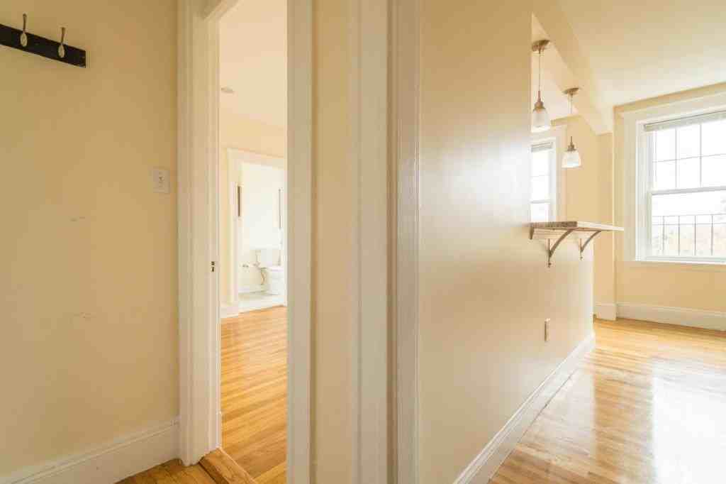 291 Chestnut Hill Ave #14 - Photo 4 of 8