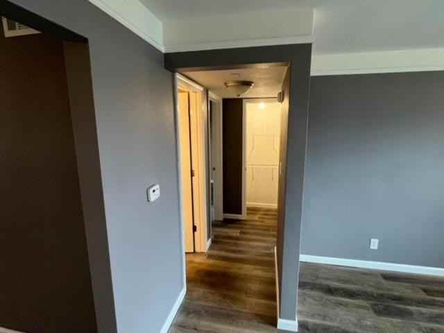 9608 Holy Cross Ln - Photo 4 of 11