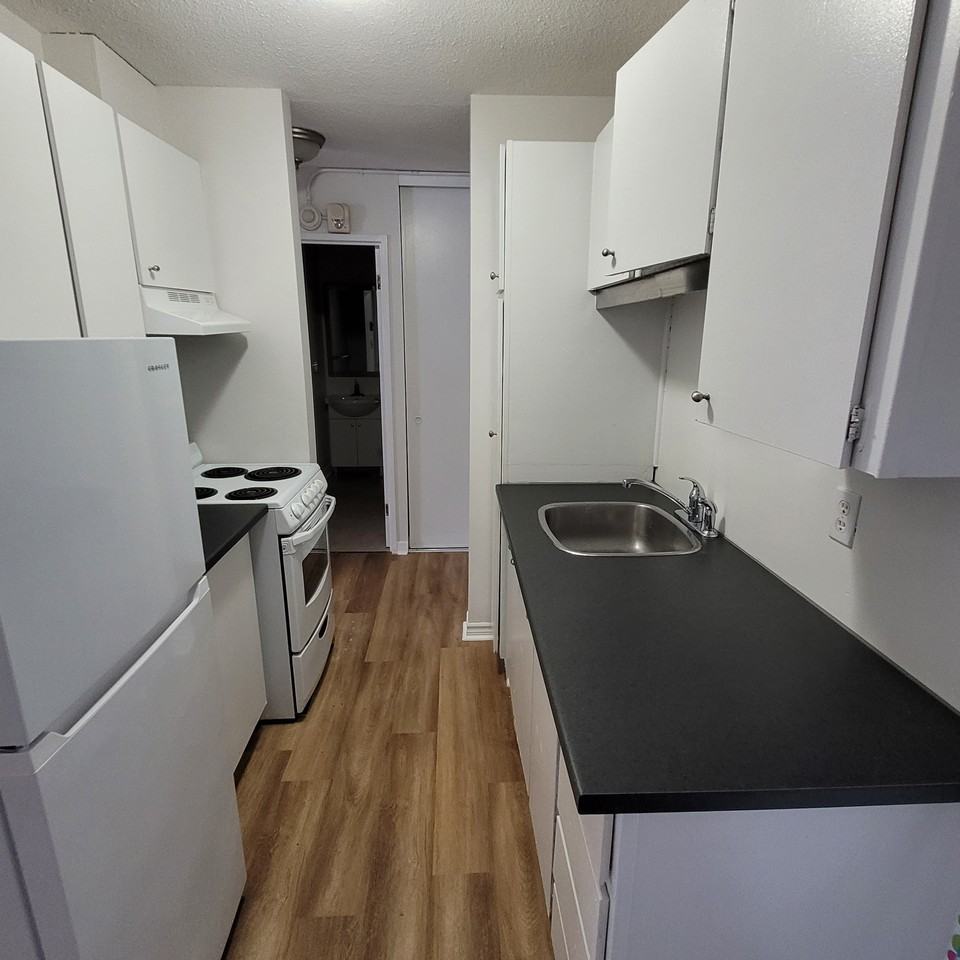 135 Rue Gamelin #204 - Photo 3 of 6