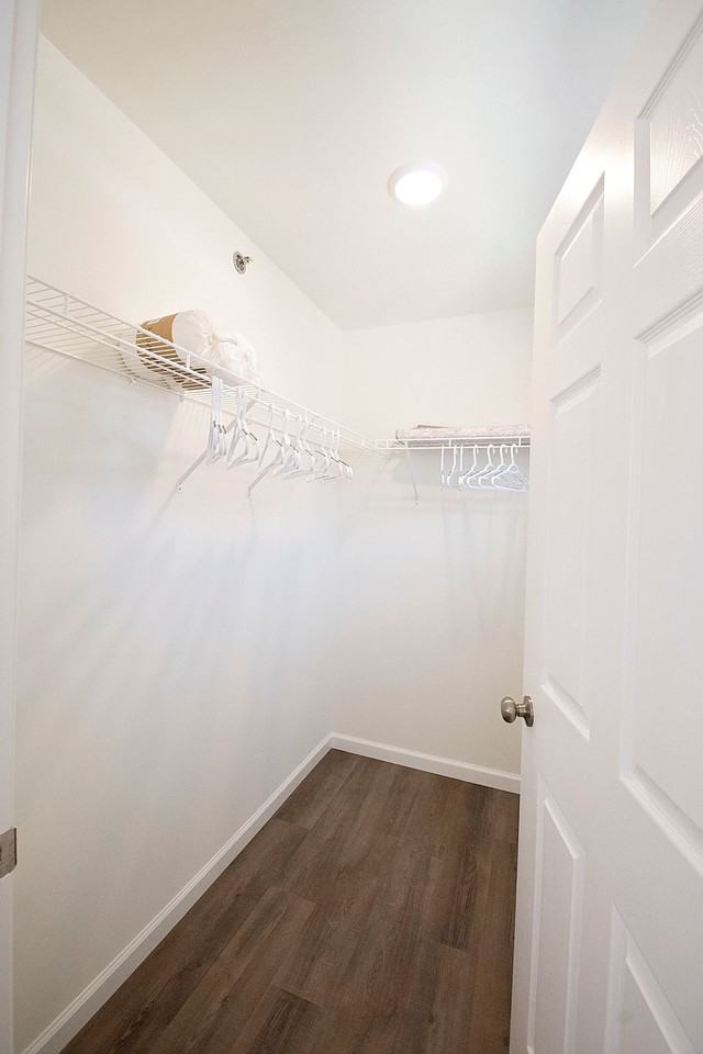 Apartments On Main - Photo 6 of 50