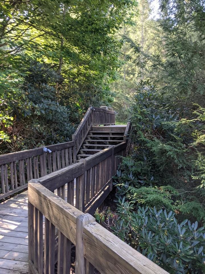 415 Woodridge Dr - Photo 3 of 41