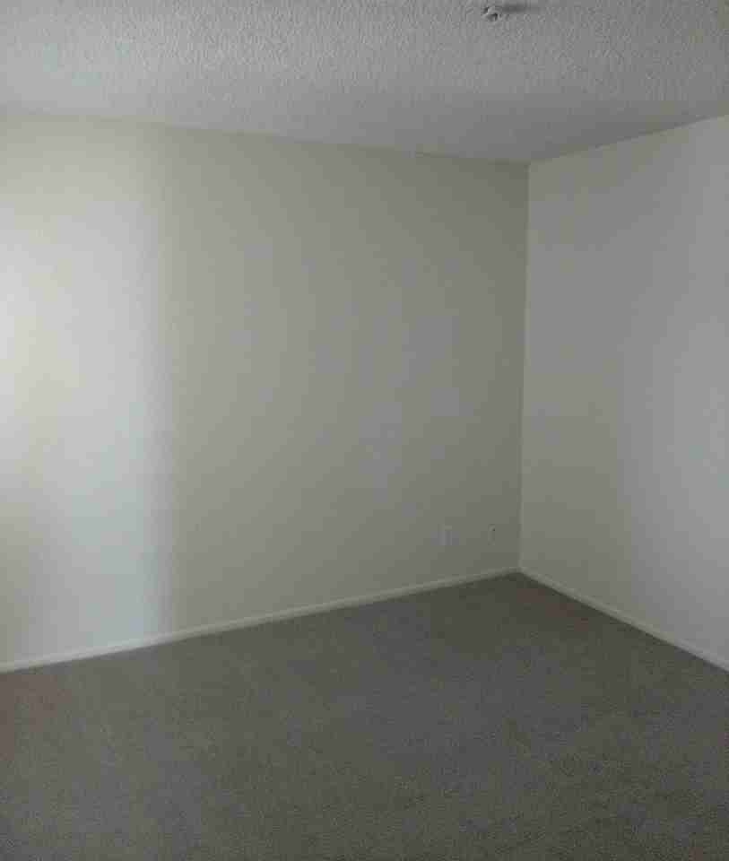 Inaja Street - Photo 3 of 13