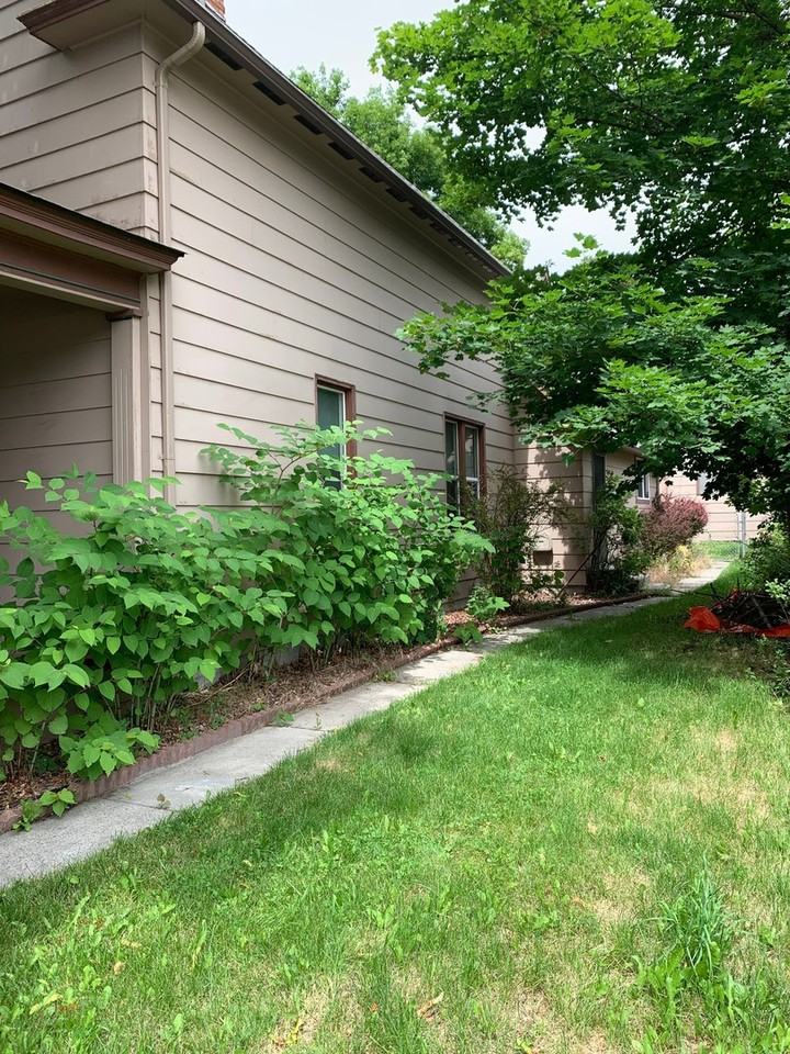 830 Poplar St - Photo 3 of 25