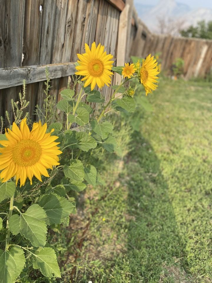 80 Rosewood Way #NA - Photo 2 of 18