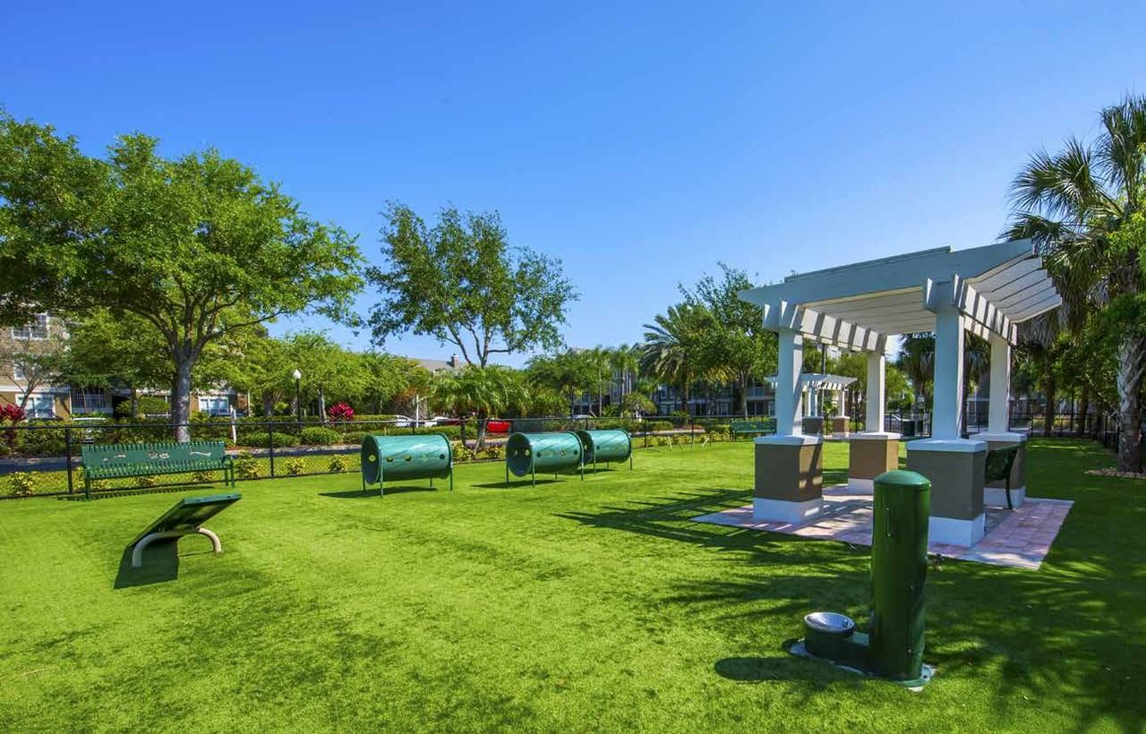 11850 11850 Dr M.l.k. Jr St N #3 - Photo 6 of 29