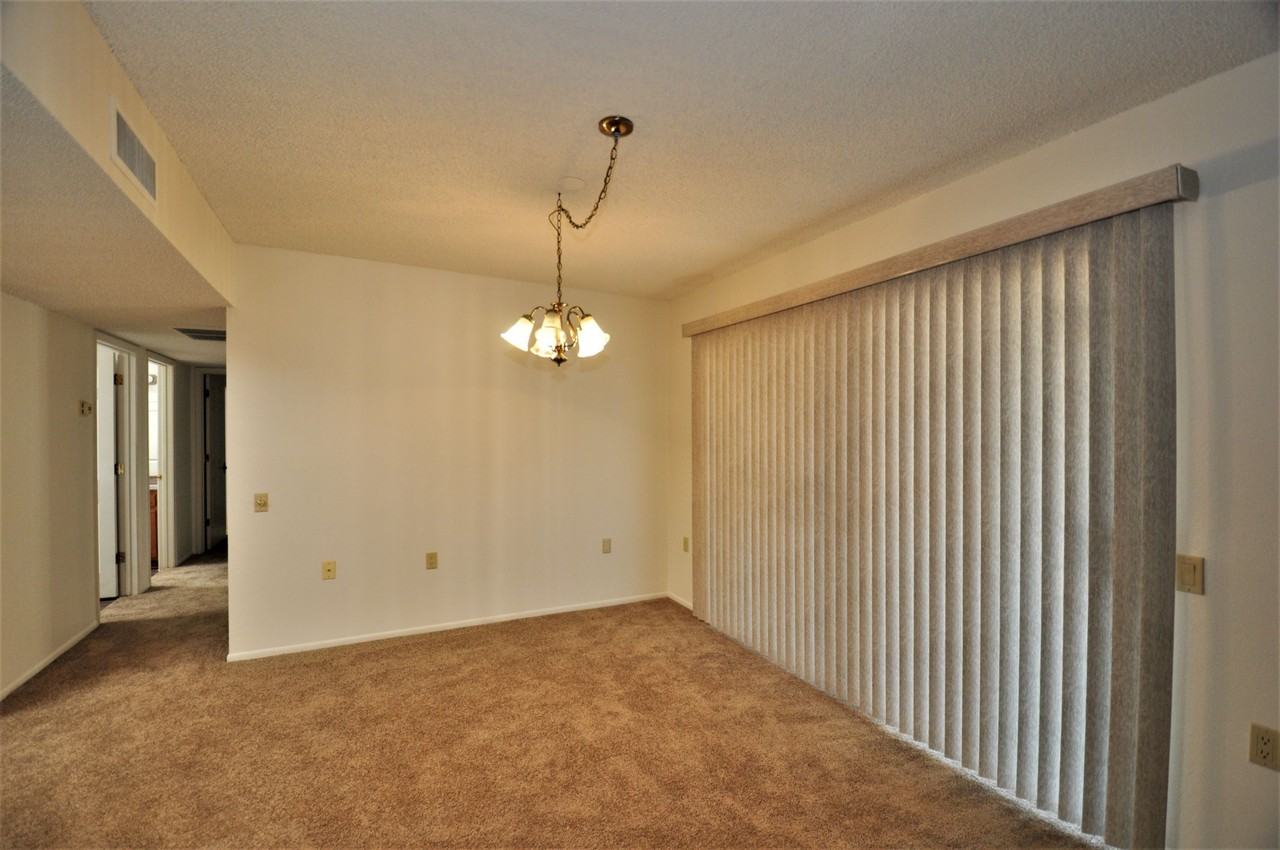 926 Calle Del Regalo - Photo 4 of 11