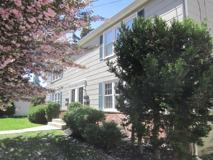 Magnolia Blossoms - Photo 1 of 1