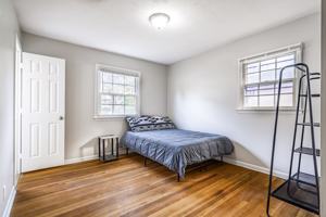 featured image of Shelley Lane