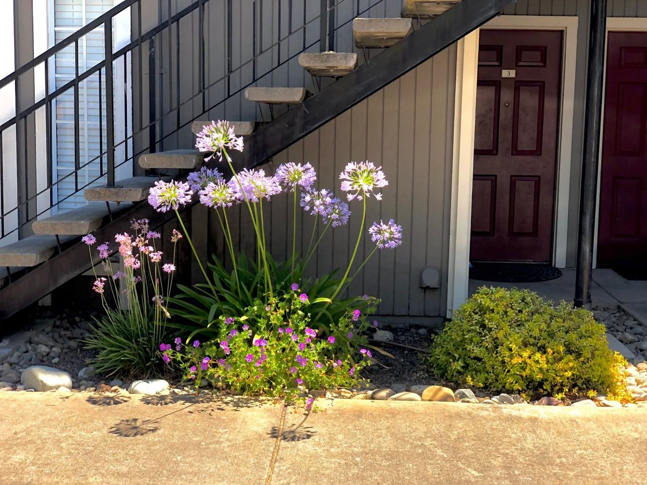 Camino Woods charming apartments 1/2 off 1st month rent - Photo 3 of 16
