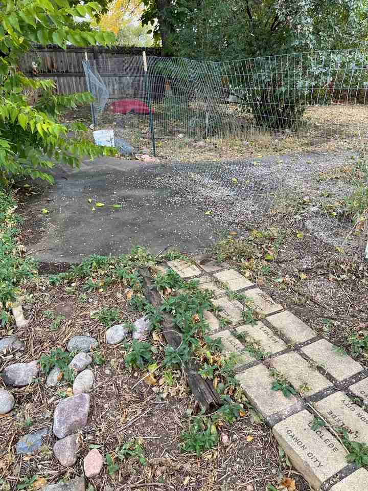 1502 Locust St #B - Photo 3 of 14