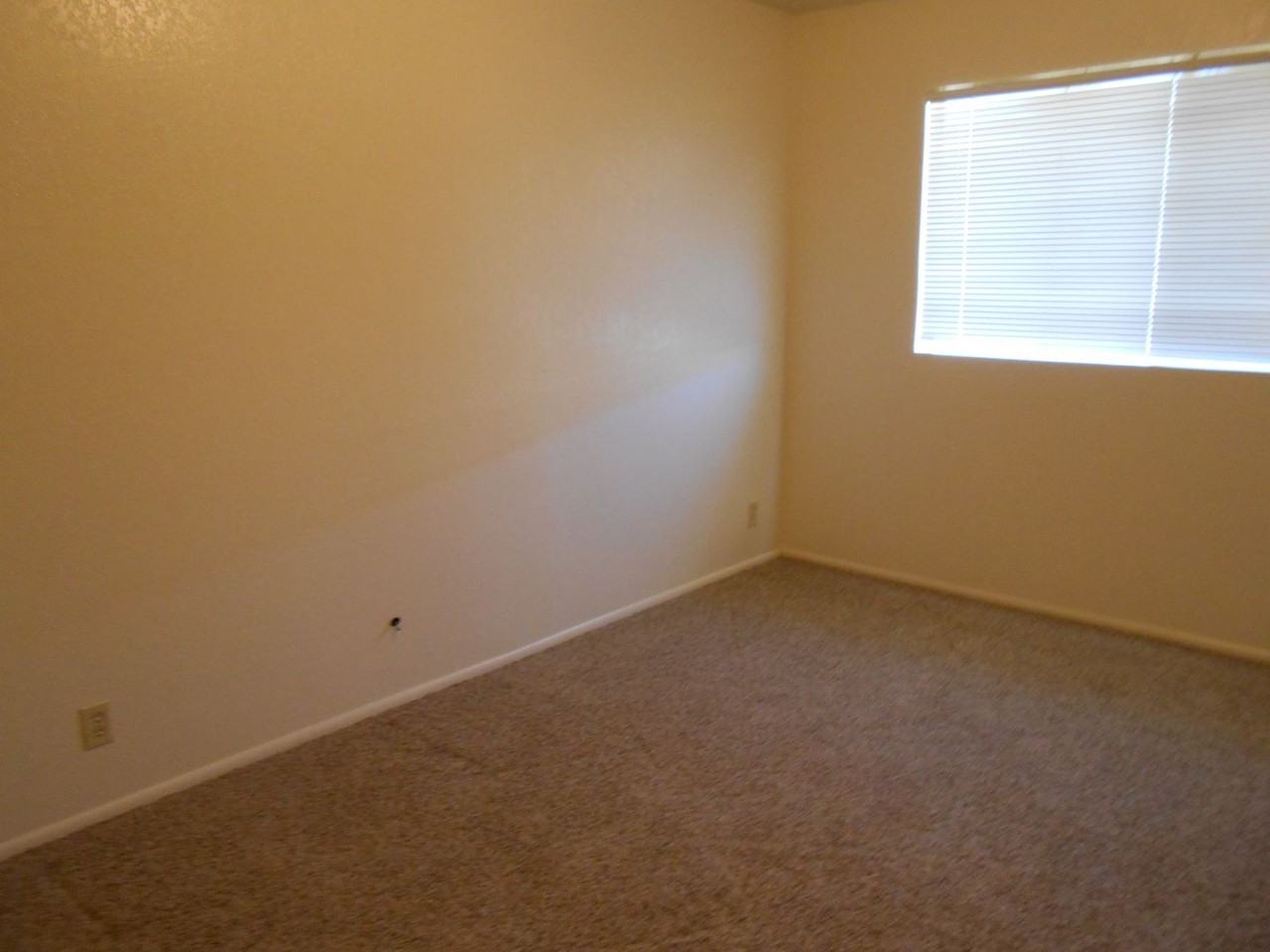 shil835 - Photo 3 of 13