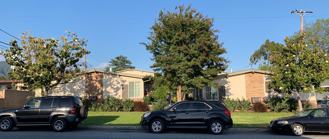 116-120 Violet - Photo 1 of 1