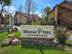 82 Orange Blossom - Photo 1 of 1