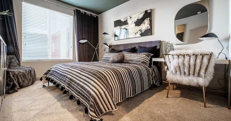 Aster Blue Diamond - Photo 4 of 38