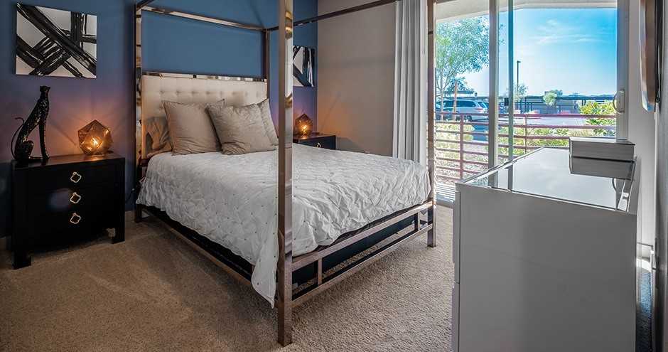 Aster Blue Diamond - Photo 5 of 38