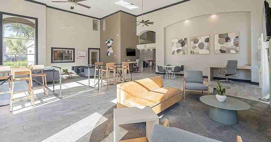 Bloom Apartment Homes - Photo 5 of 54