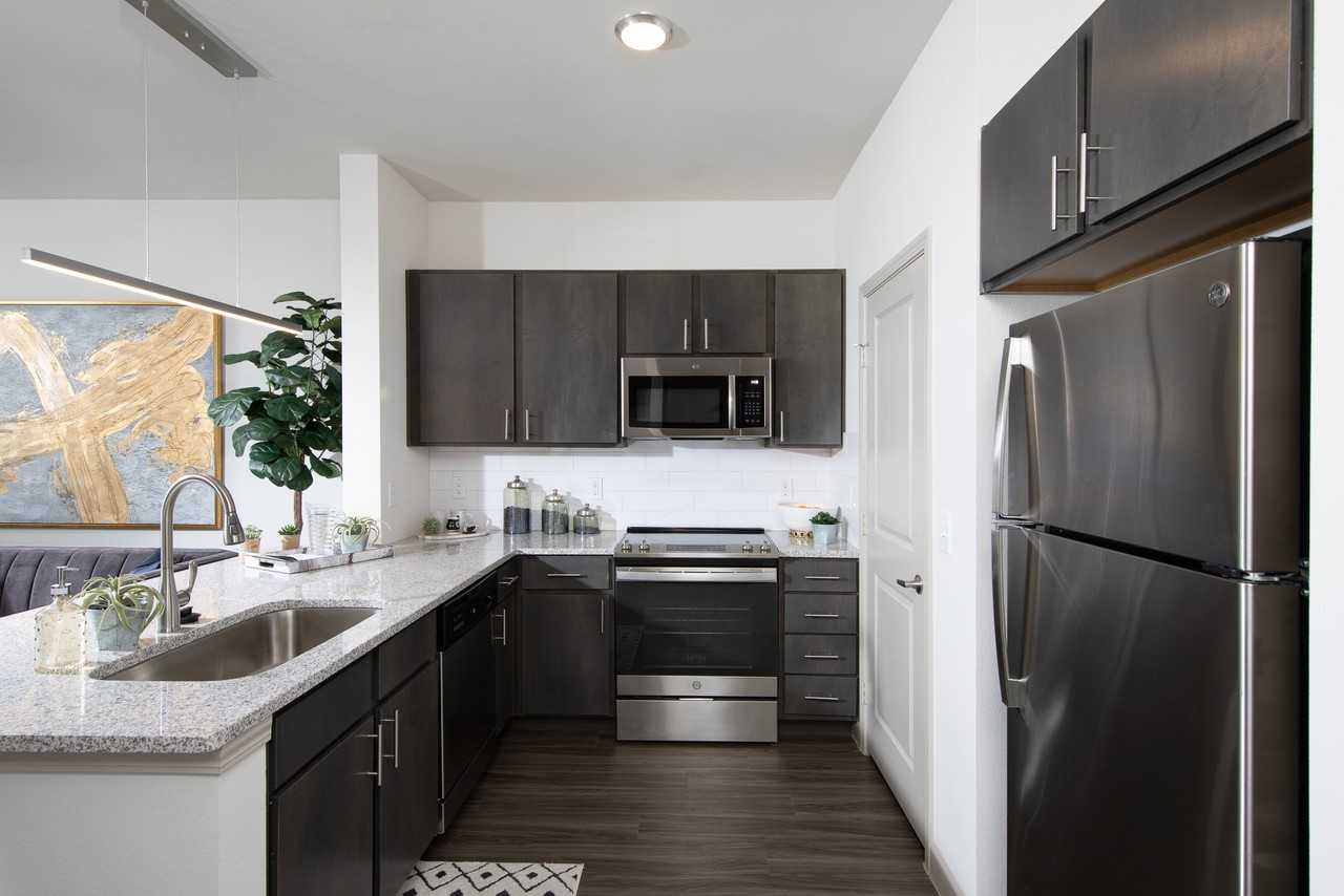 The Luxe at Cedar Hill 55+ Active Adult - Photo 5 of 36