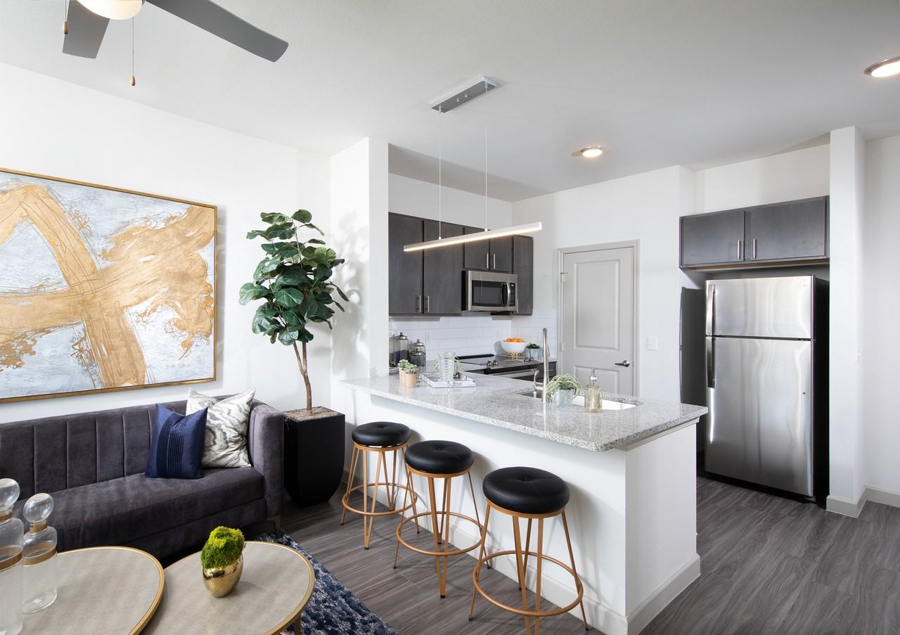 The Luxe at Cedar Hill 55+ Active Adult - Photo 6 of 36