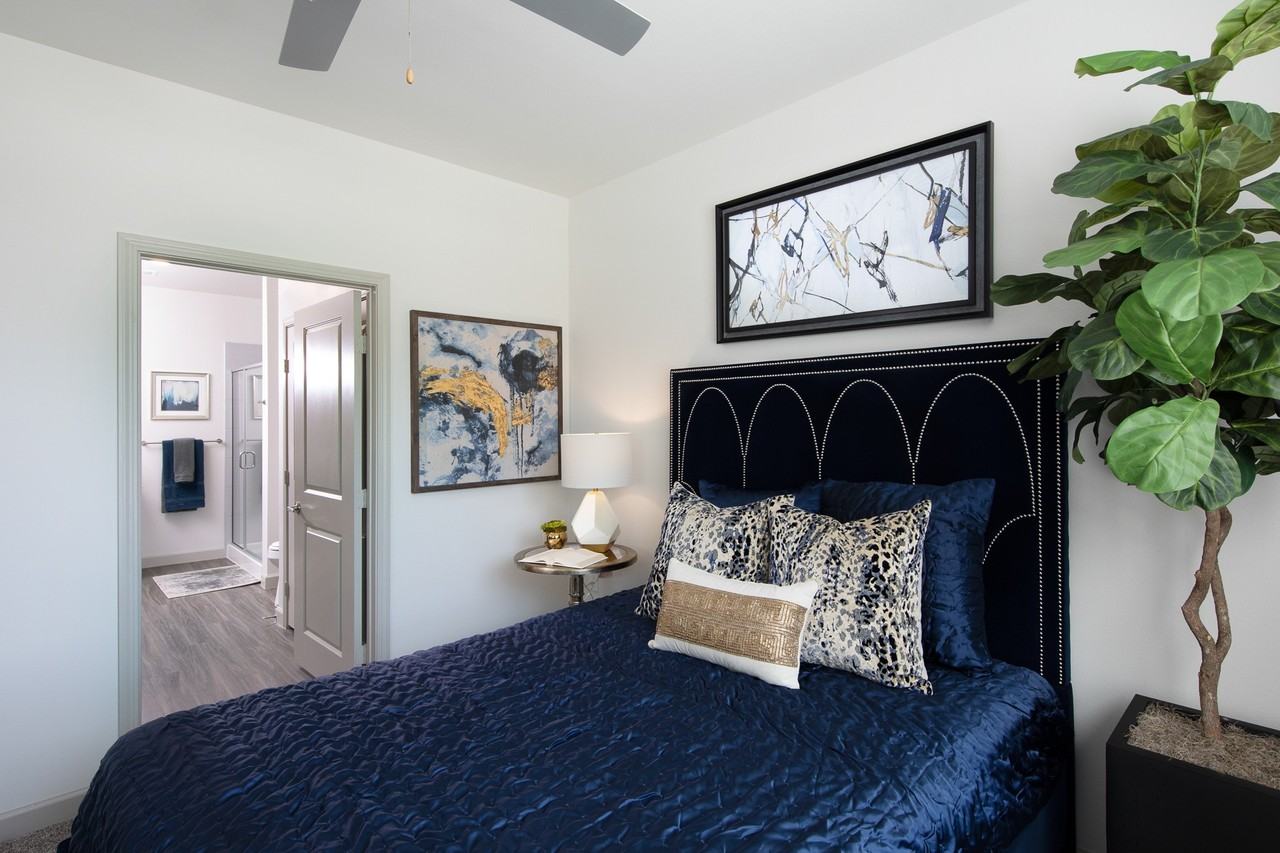 The Luxe at Cedar Hill 55+ Active Adult - Photo 7 of 32