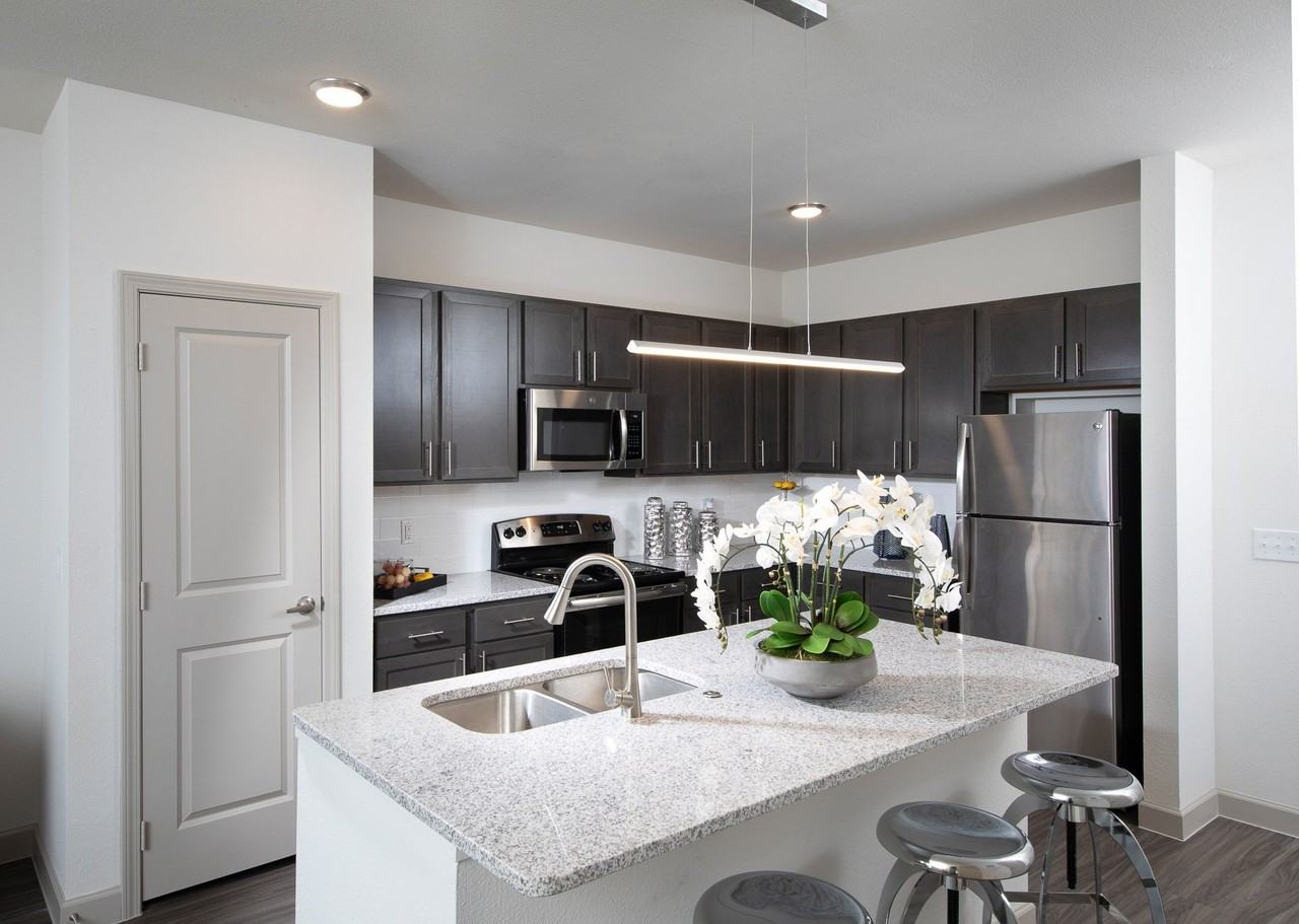 The Luxe at Rowlett 55+ Active Adult - Photo 3 of 33