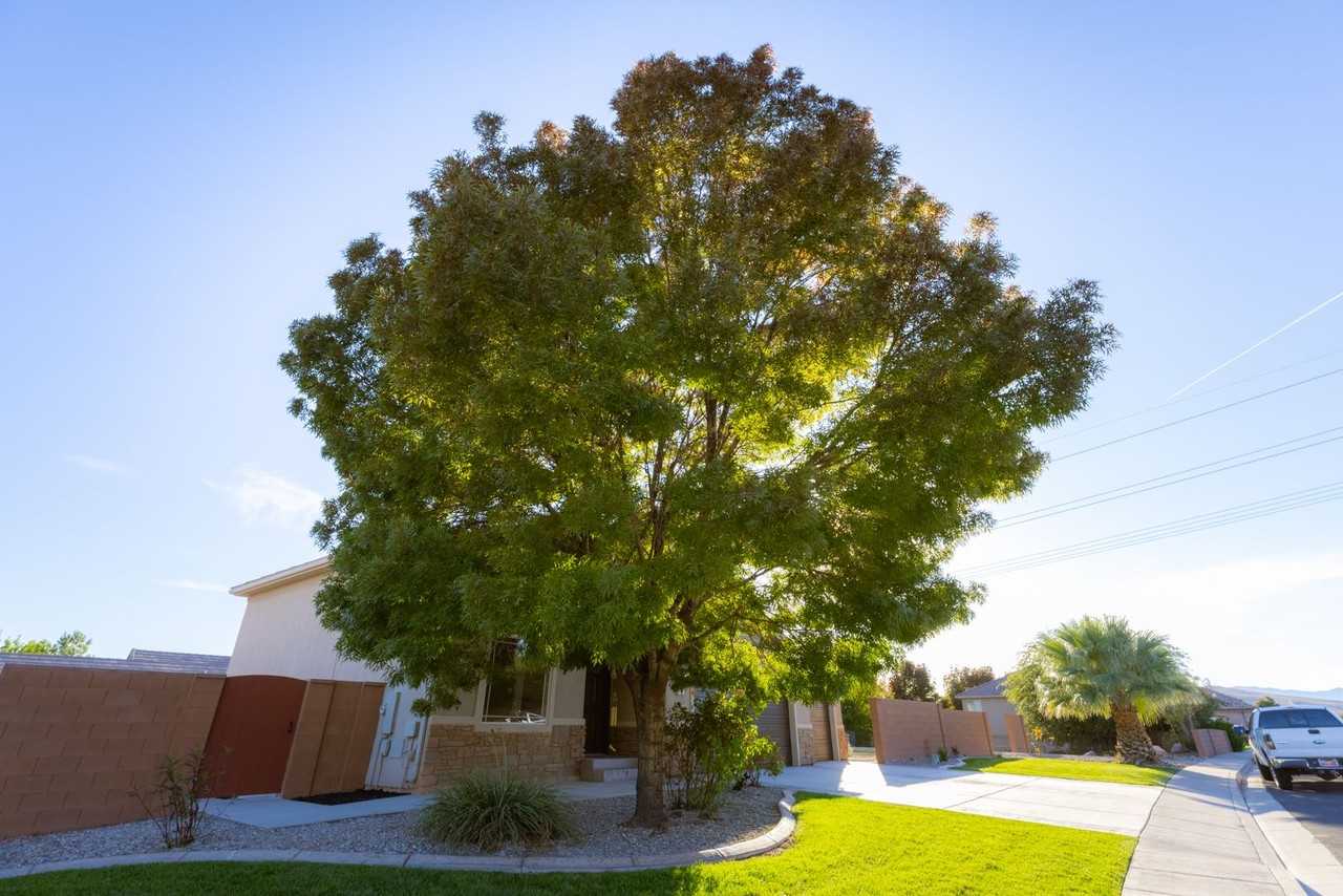 2146 E 2540 S - Photo 5 of 38