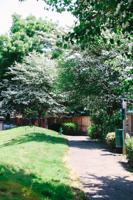 featured image of 16936 Se Powell Blvd #69