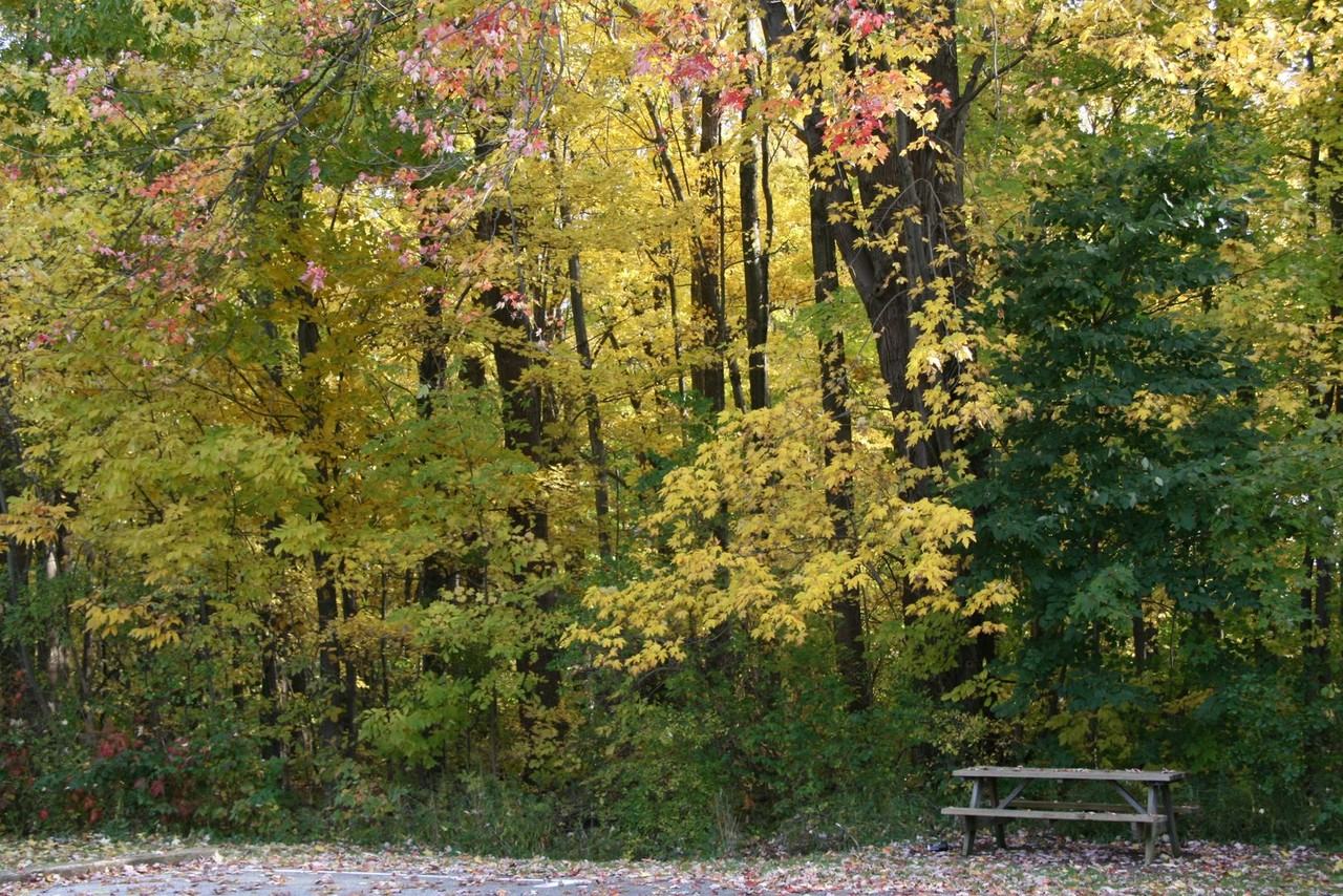 Woodside Apartments - Photo 2 of 31