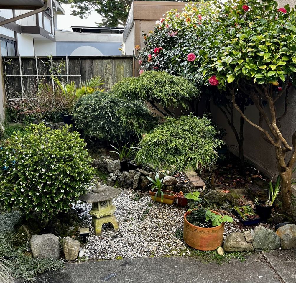 3812 Palos Verdes Way #NA - Photo 2 of 14