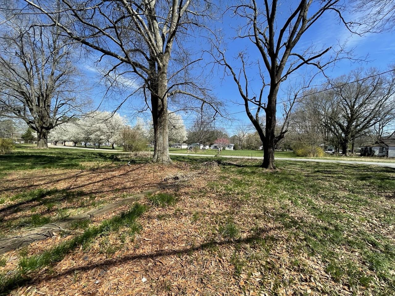 156 Silver Cir #1 - Photo 2 of 10