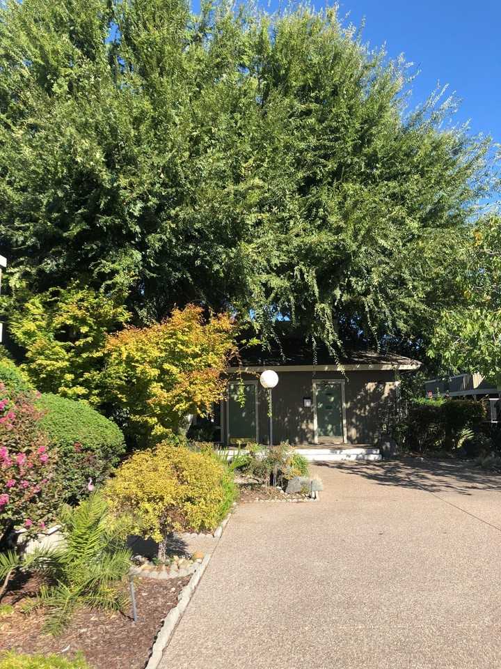 Mathilda Garden Apartments - Photo 5 of 13